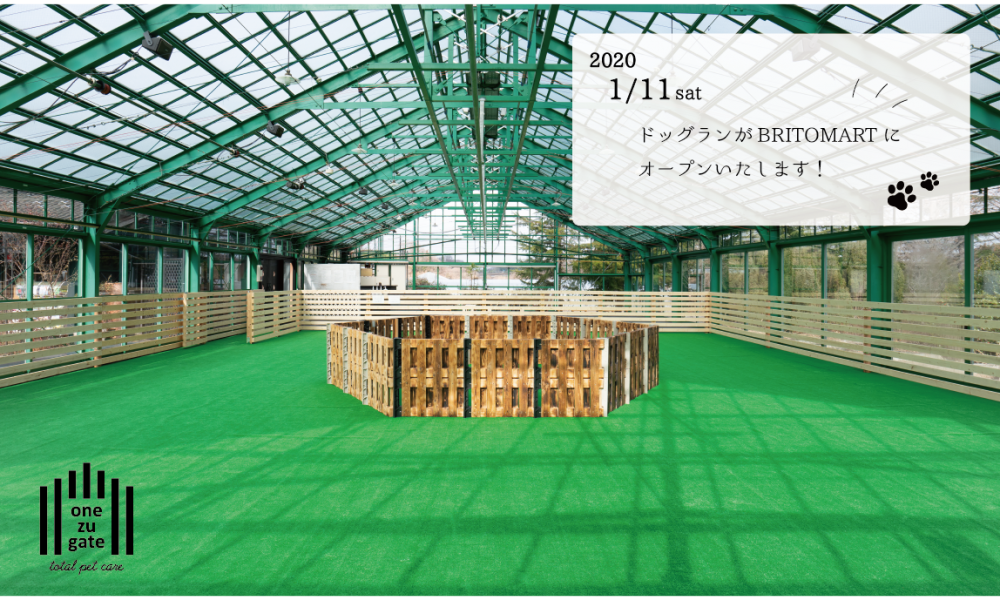 Dog Runグランドオープン – BRITOMART